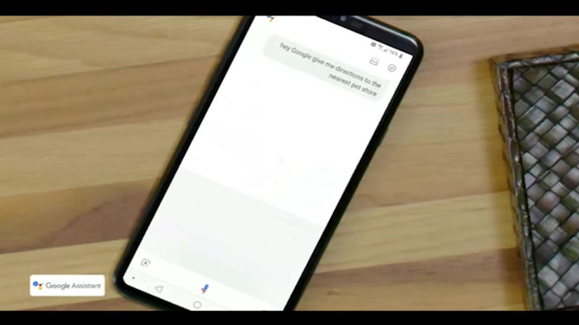 Google Assistant_Chewed_Liz Fodor character VO